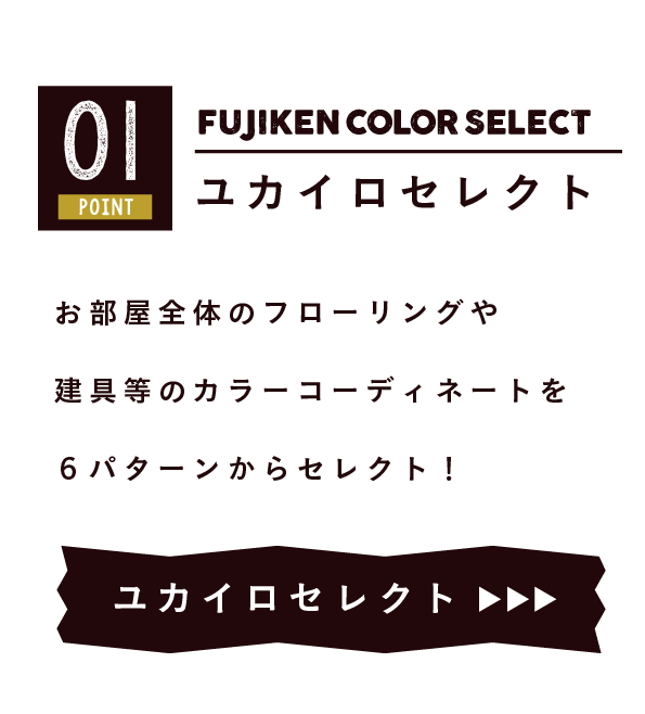 フジケンカラーセレクト