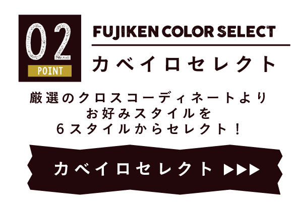 フジケンカラーセレクト