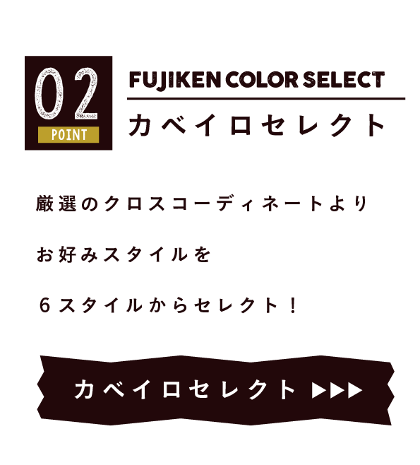 フジケンカラーセレクト