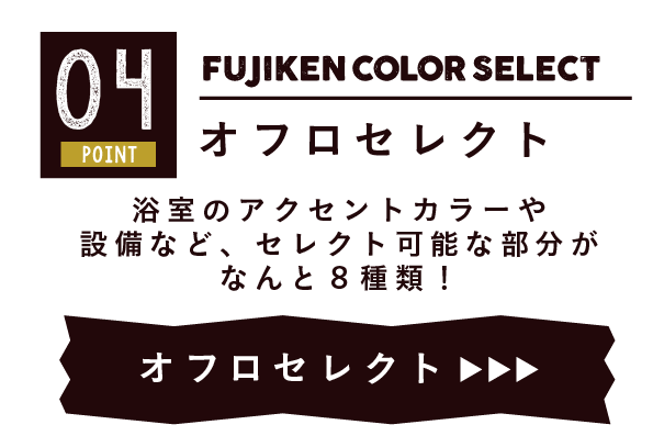 フジケンカラーセレクト