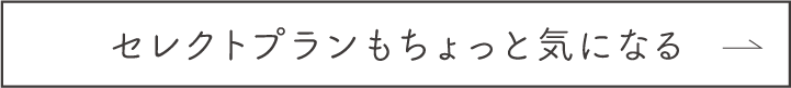 セレクトプランもちょっと気になる